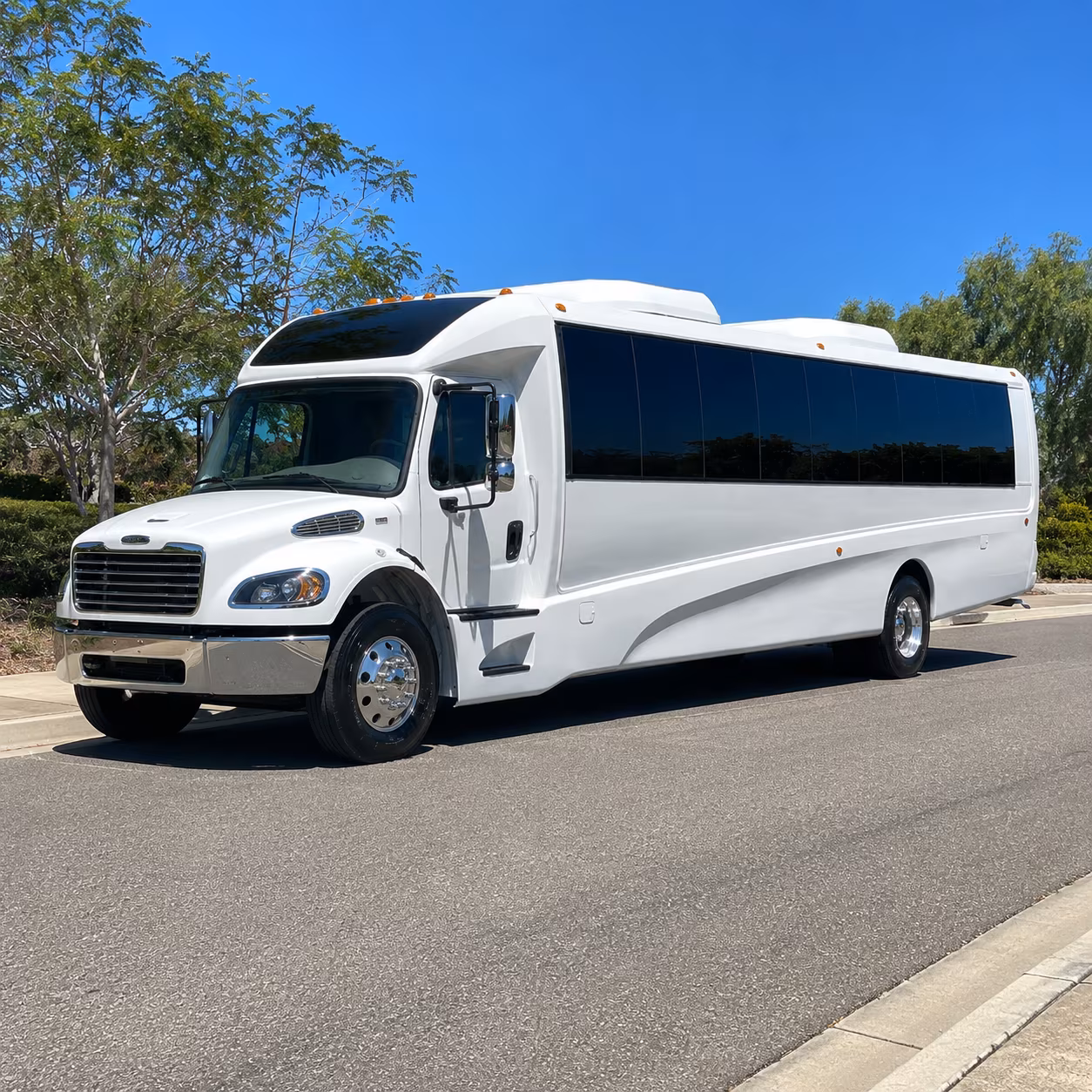 lincoln 15 passenger minibus
